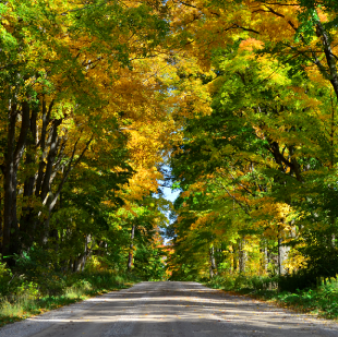 You are currently viewing 10 Fall Things To Do in Ontario